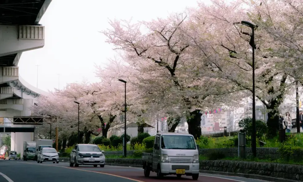 Румынскія транспартныя паслугі і купля віньеткі онлайн