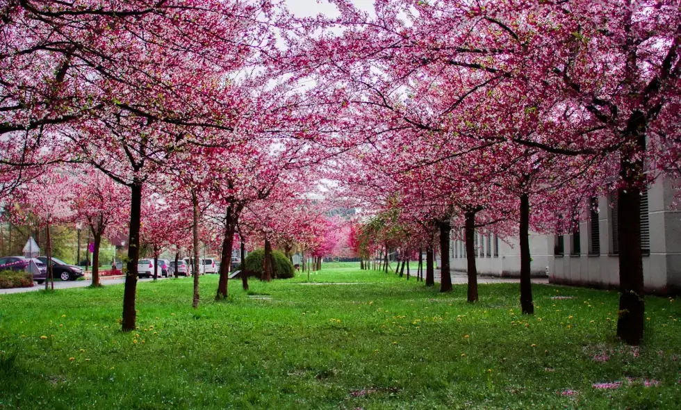 Reisen auf slowenischen Autobahnen – Sehenswürdigkeiten in der Nähe und Ferne