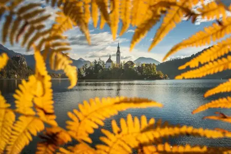 Kupovina slovenačke e-vinjete