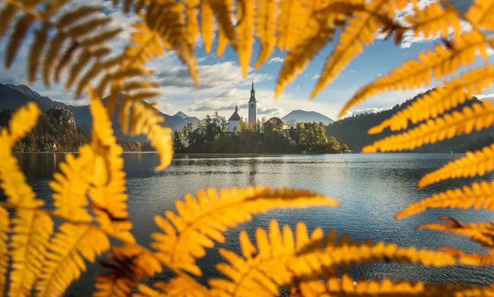 Achiziționarea vinietei pentru autostrada slovenă