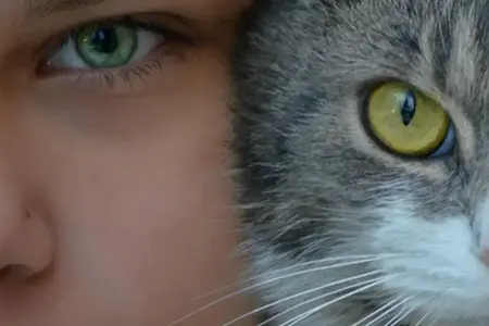 Erkundung der Autobahnen Rumäniens