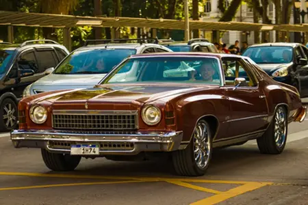 Kupovina austrijske e-vinjete online