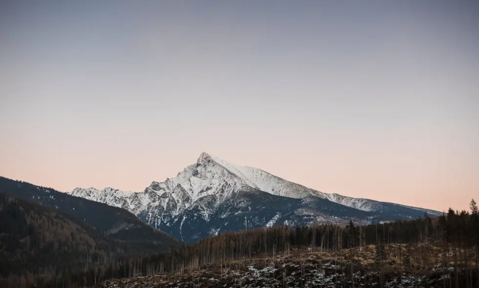 Zakup słowackiej winiety: możliwości podróży samochodowych w Słowacji do odkrycia