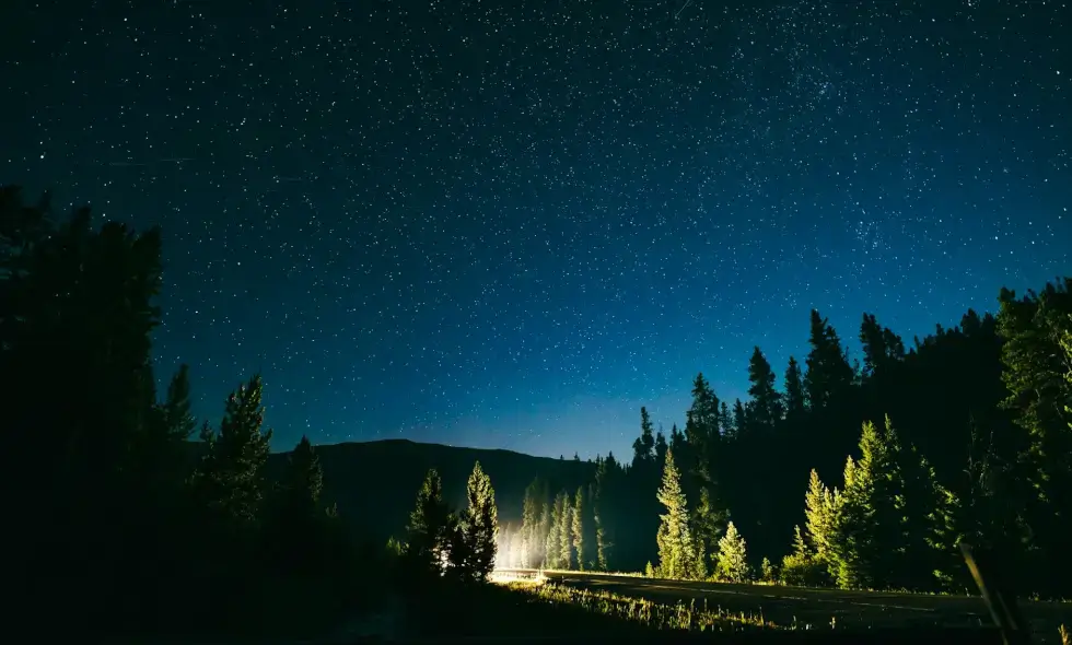 Бъди внимателен на входа на M1–M7!