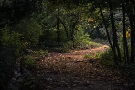 Bulgarien auf der Autobahn: Reisemöglichkeiten und Kauf der Vignette