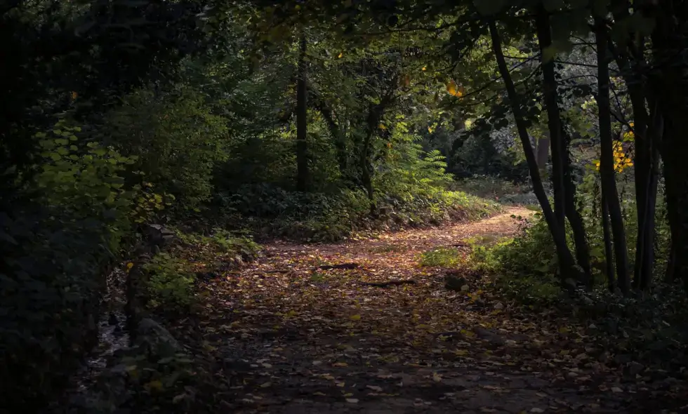 Bulgarien auf der Autobahn: Reisemöglichkeiten und Kauf der Vignette