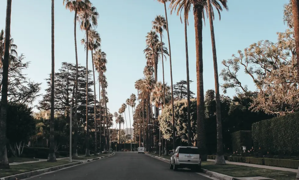 Vinietă bulgară - Cumpărați online în Bulgaria