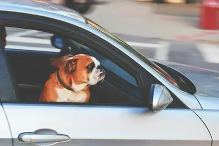 **Закупуване на словенска винетка онлайн**