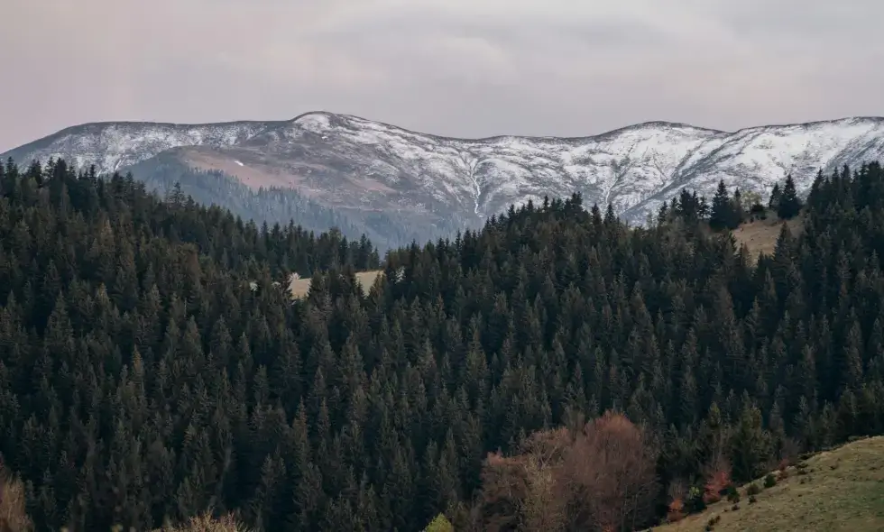 Kauf von rumänischen Vignetten und Reisetipps