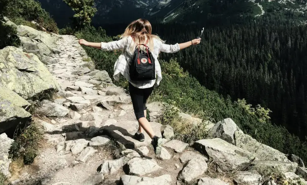 Покупка словацкой виньетки