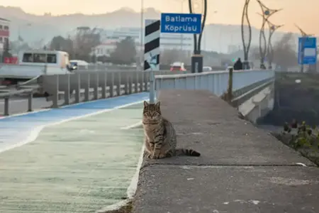 Slowenische Vignette 2025: Einkaufsleitfaden