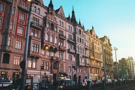 Cehia: cumpărarea vinietei