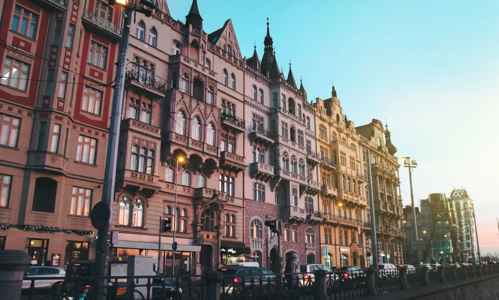 Cehia: cumpărarea vinietei