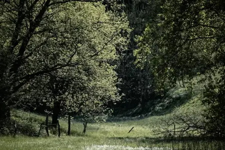 Tschechisches Autobahnerlebnis: Entdeckung auf vier Rädern