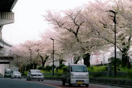 Румынскія транспартныя паслугі і купля віньеткі онлайн