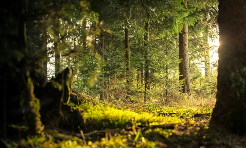 Erlebnisse in Slowenien für Autoreisende