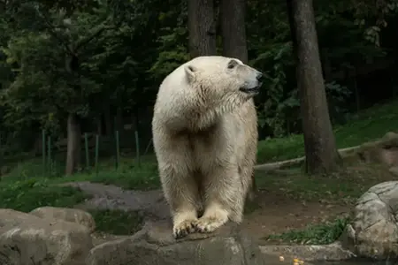 Češke mogućnosti putovanja na autocesti uz vinjetu