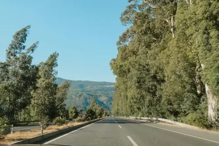 Autoceste Slovenije i informacije o kupovini vinjete za 2025. godinu