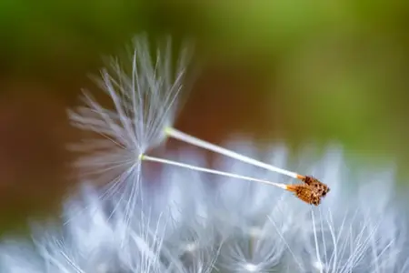 Putovanja autoputem kroz Sloveniju: iskustva, znamenitosti, korisne informacije