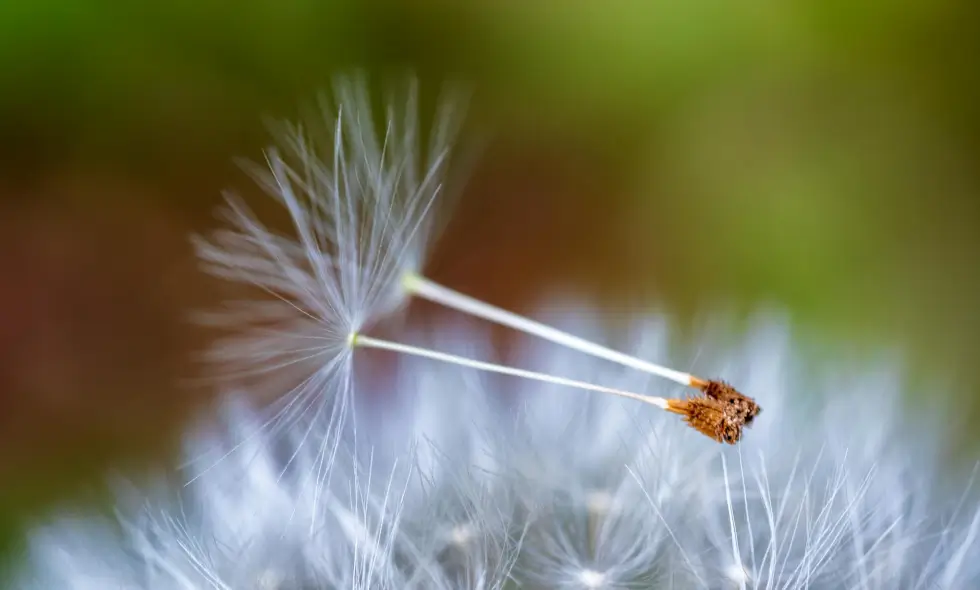 Putovanja autoputem kroz Sloveniju: iskustva, znamenitosti, korisne informacije