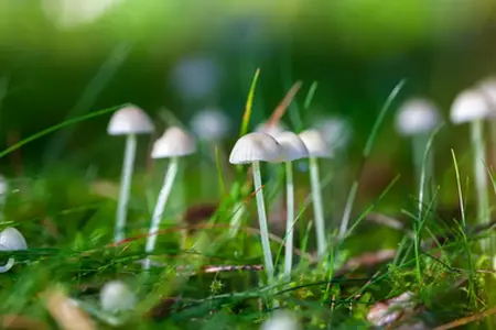 Bequeme Reisen auf tschechischen Autobahnen