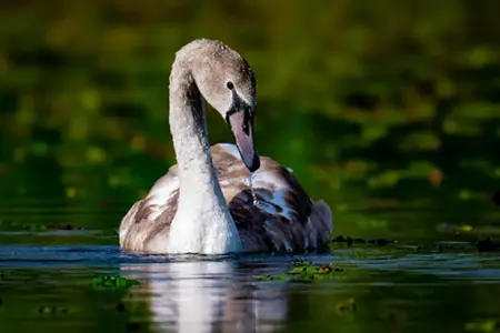 Autobahnziele in Rumänien: bequeme und schnelle Erreichbarkeit