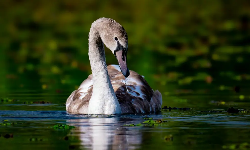 Destinations autoroutières en Roumanie : accès confortable et rapide