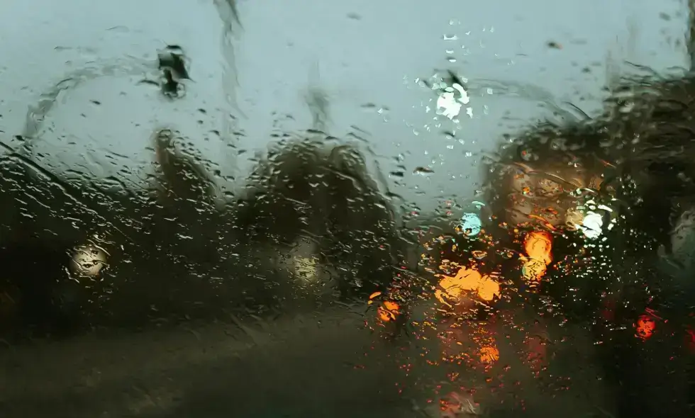 Vinietă în România