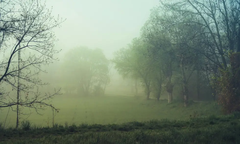 Voyages sur les autoroutes autrichiennes – confortablement et rapidement