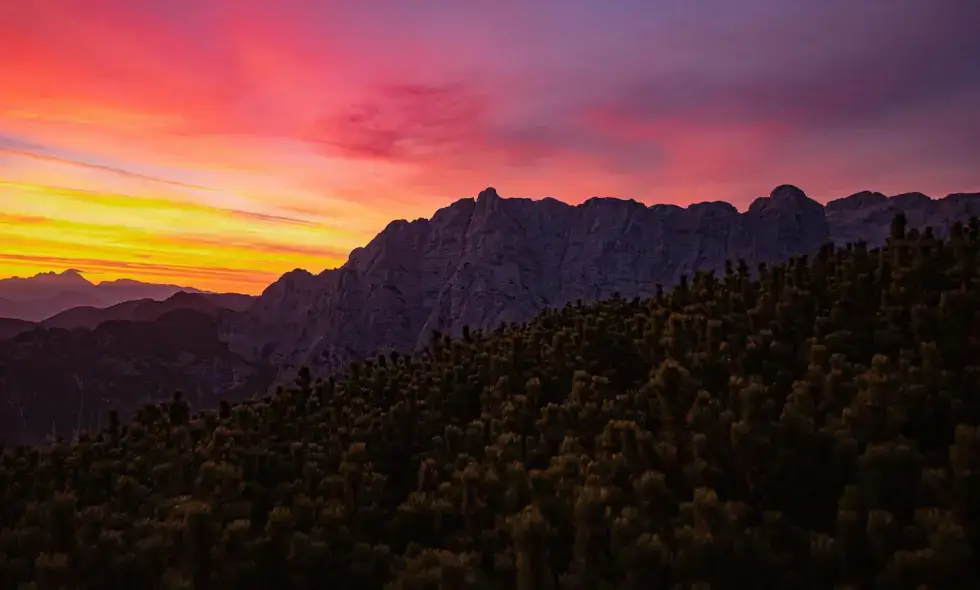 Les merveilles des autoroutes de Slovénie