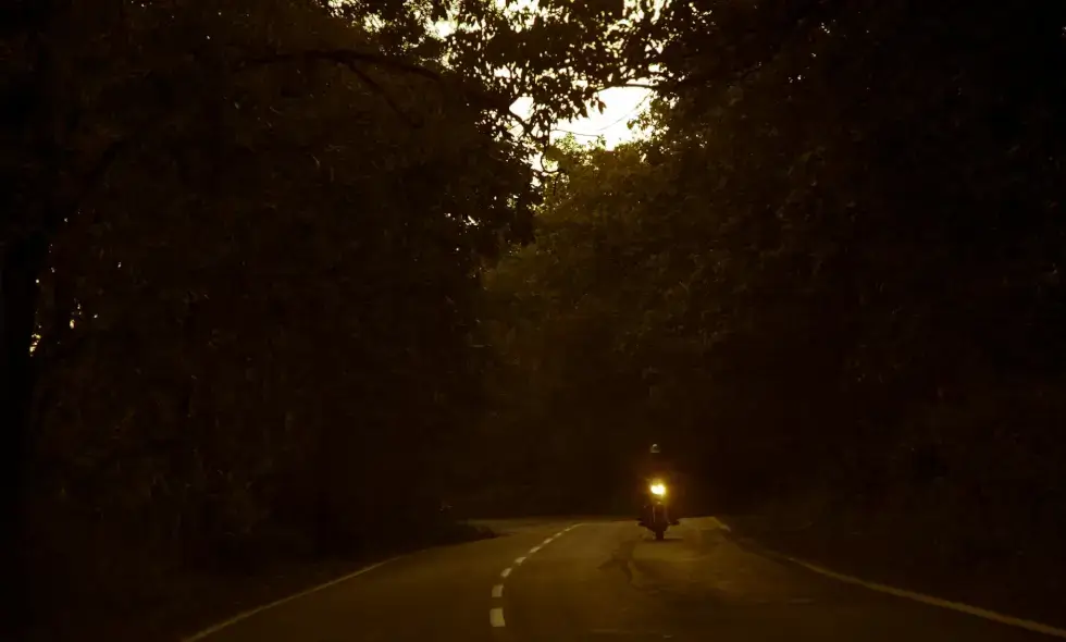 Des constructions de tunnels importantes sont prévues pour les 10 à 20 prochaines années : Quelles conséquences environnementales peuvent avoir les constructions d'autoroutes ?